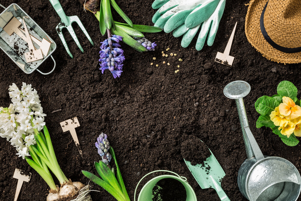 Home Gardening Safety